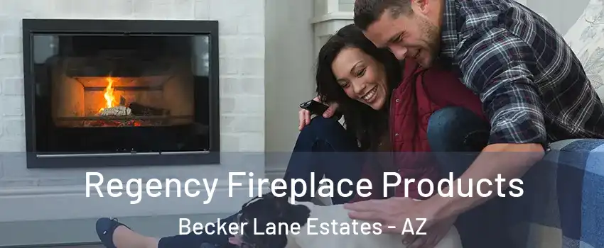 Regency Fireplace Products Becker Lane Estates - AZ