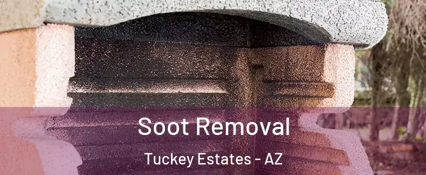 Soot Removal Tuckey Estates - AZ