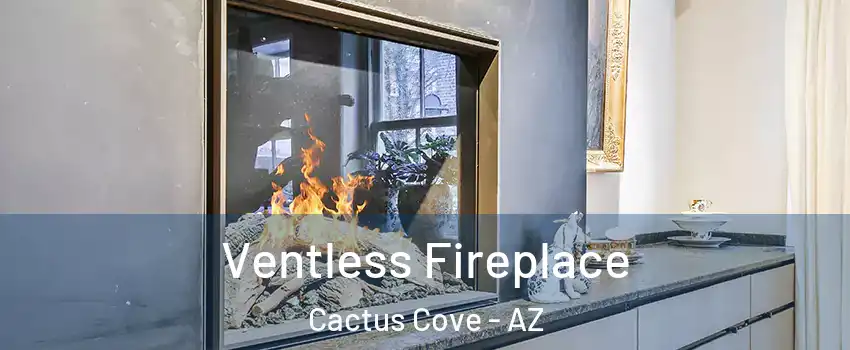 Ventless Fireplace Cactus Cove - AZ