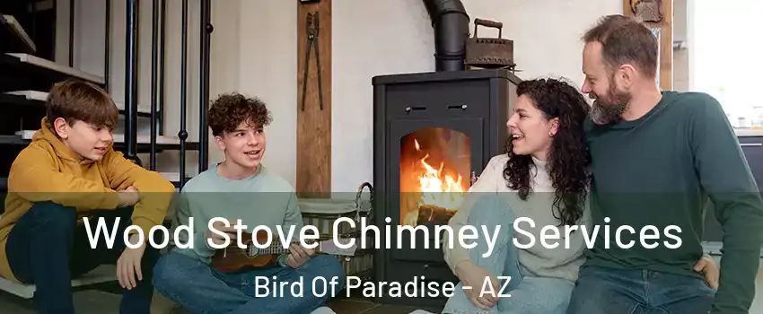 Wood Stove Chimney Services Bird Of Paradise - AZ