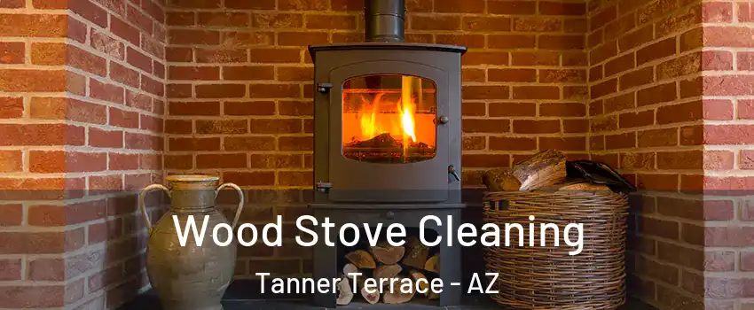 Wood Stove Cleaning Tanner Terrace - AZ